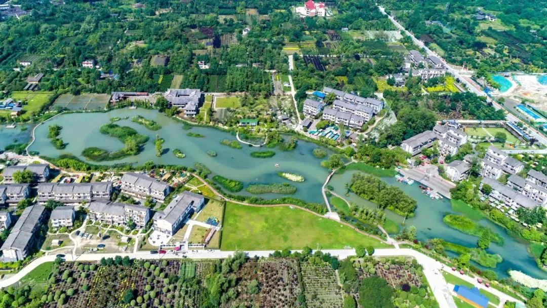 刻苦训练篮球时如何避免受伤的建议_2